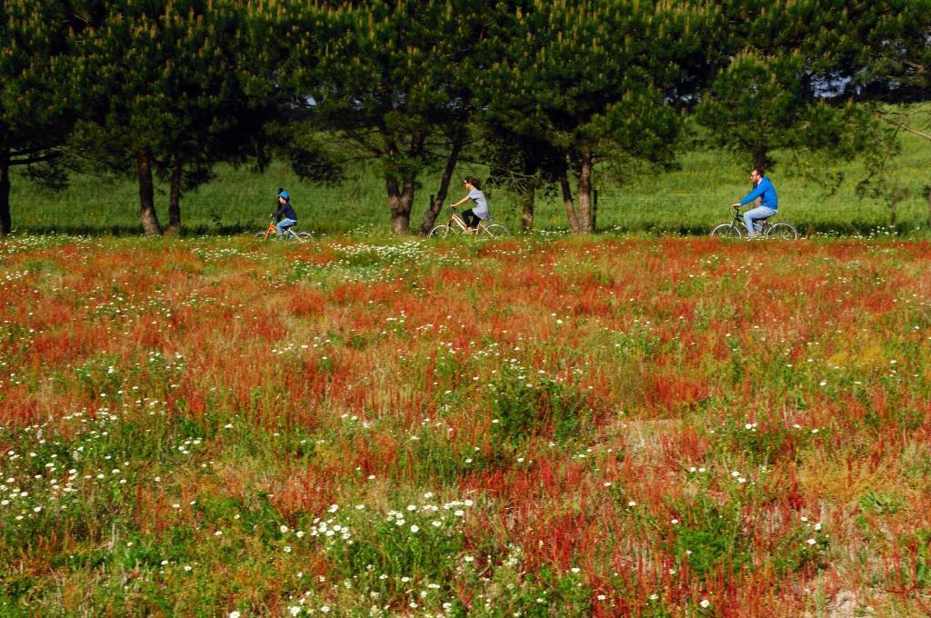 잠부예이라도마르 Monte Da Galrixa 빌라 외부 사진